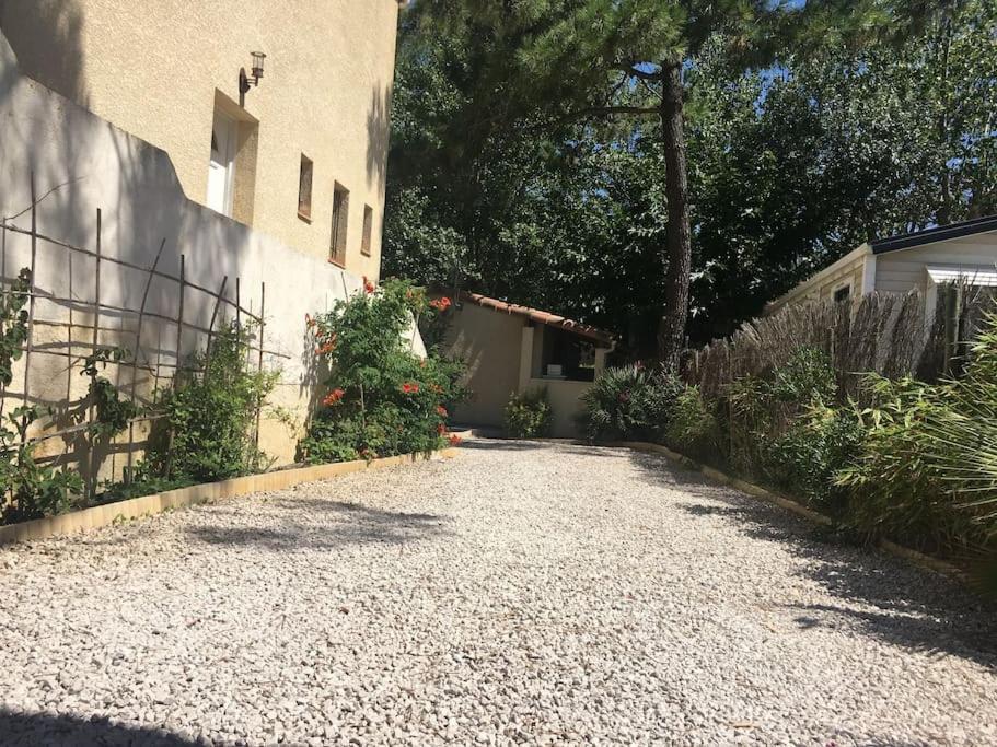 Marseillan Plage Studio Independant Ngoại thất bức ảnh